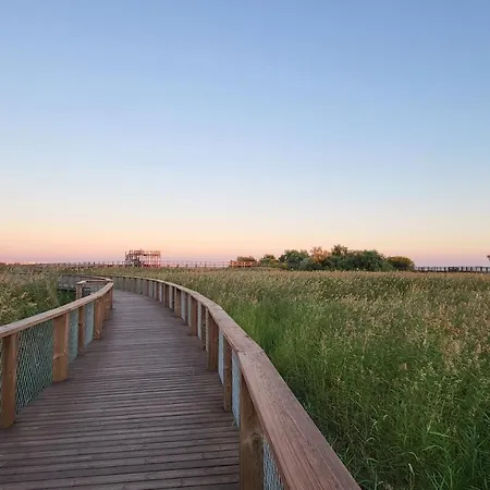 Apartment Tulbi Parnu