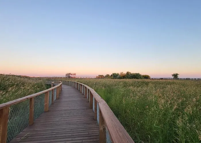 דירה Tulbi פארנו