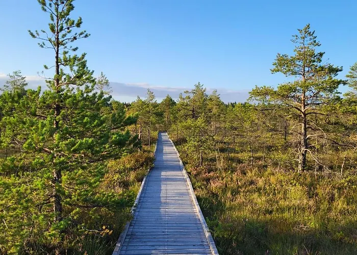 Апартаменты Tulbi