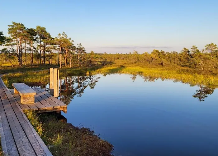 Апартаменты Tulbi *