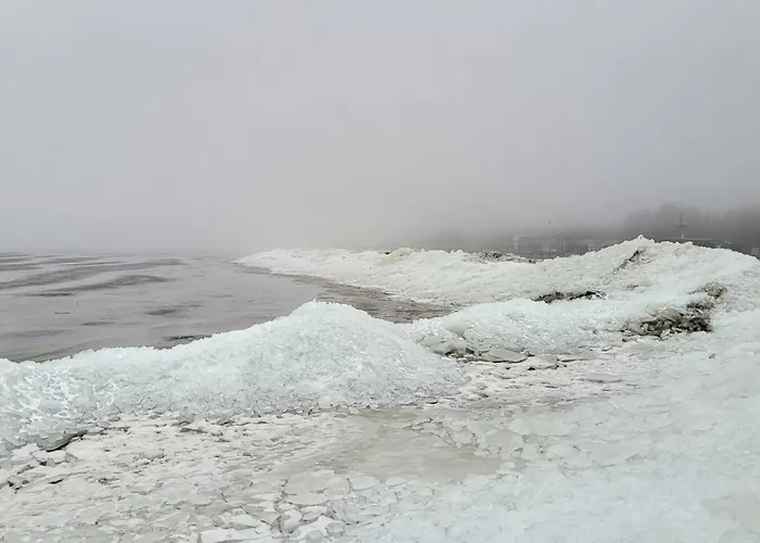 Апартаменты Tulbi